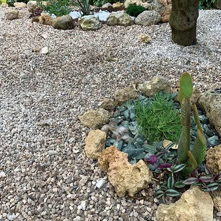 Il Giardino Dei Fiori *